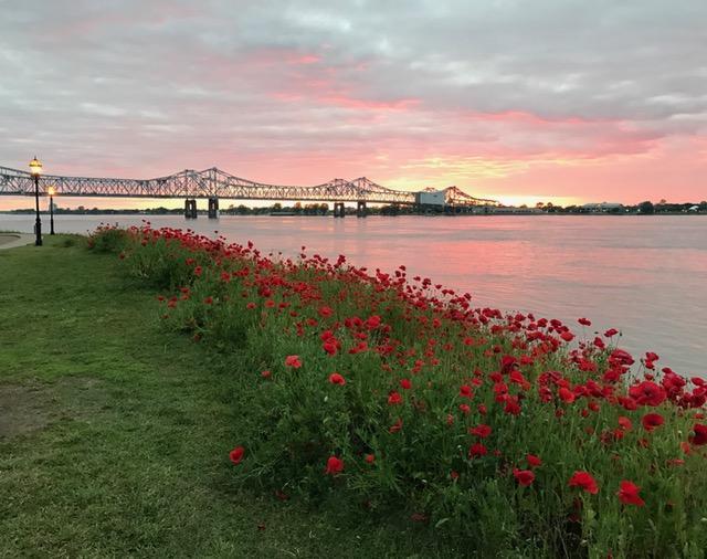 Riverboat Bed & Breakfast Natchez Dış mekan fotoğraf